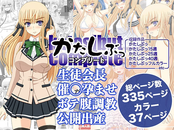 かたしぶっコンプリート メイン画像