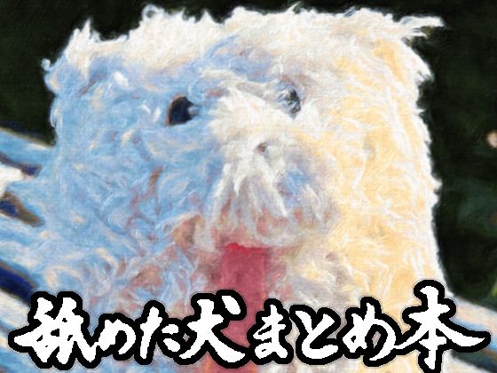 舐めた犬まとめ本 メイン画像